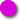 purple-circle