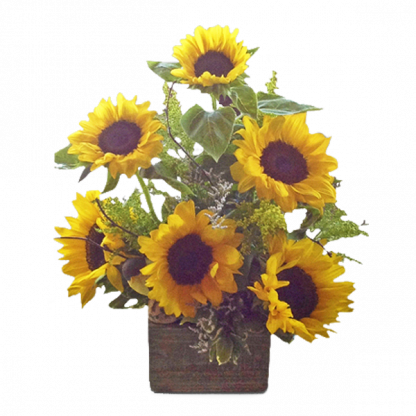 Sunny Sunflowers