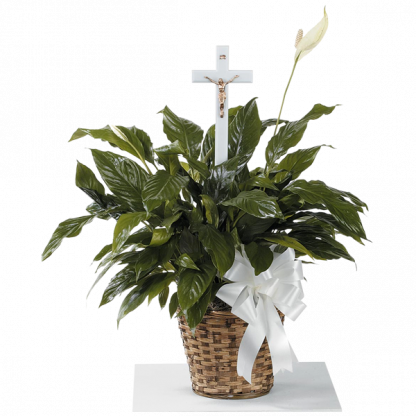 Peace Lily with Cross